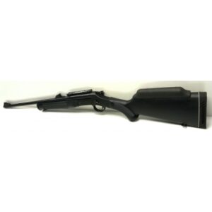 Carabine ROSSI pompa cal 222rem occasion